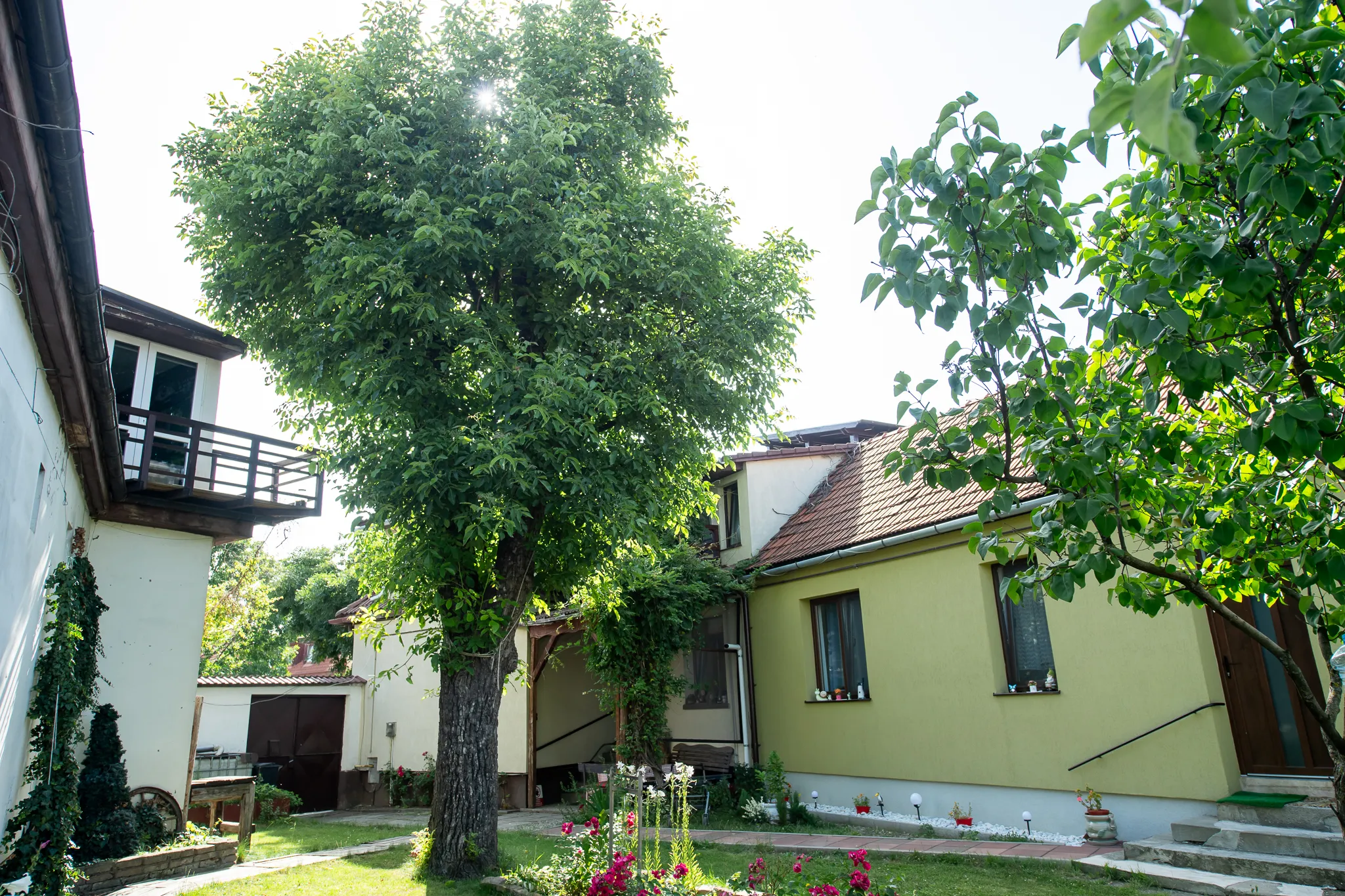 LaDespani Guesthouse Brasov — photo 38 of our rooms, garden and facilities