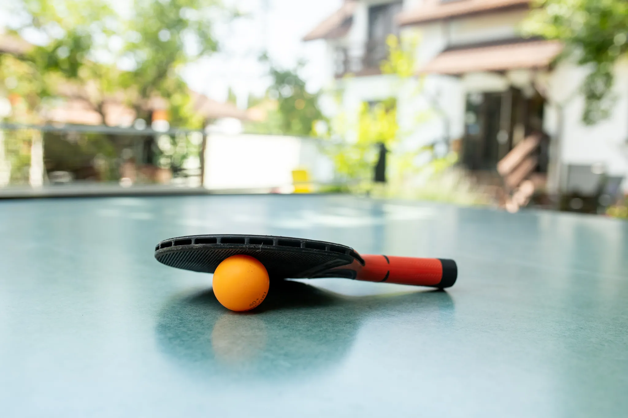 Ping pong — Pensiunea LaDespani, Brașov